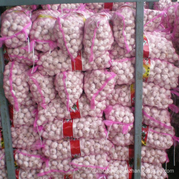 Export Chinese fresh garlic high quality garlic wholesale